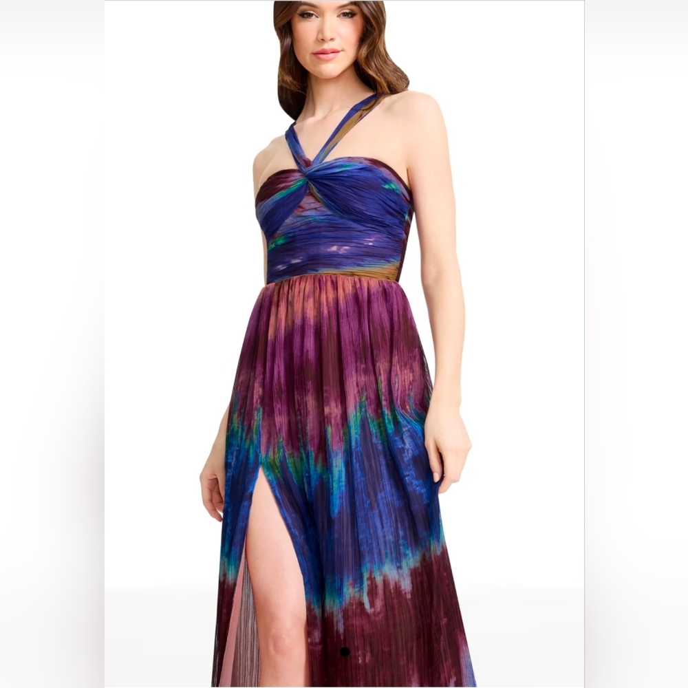 Dress the Population Multicolor Halter Maxi Dress